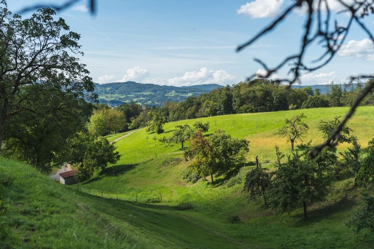Gruenewaldhof In Rimbach Im Odenwald Apartment Exterior photo