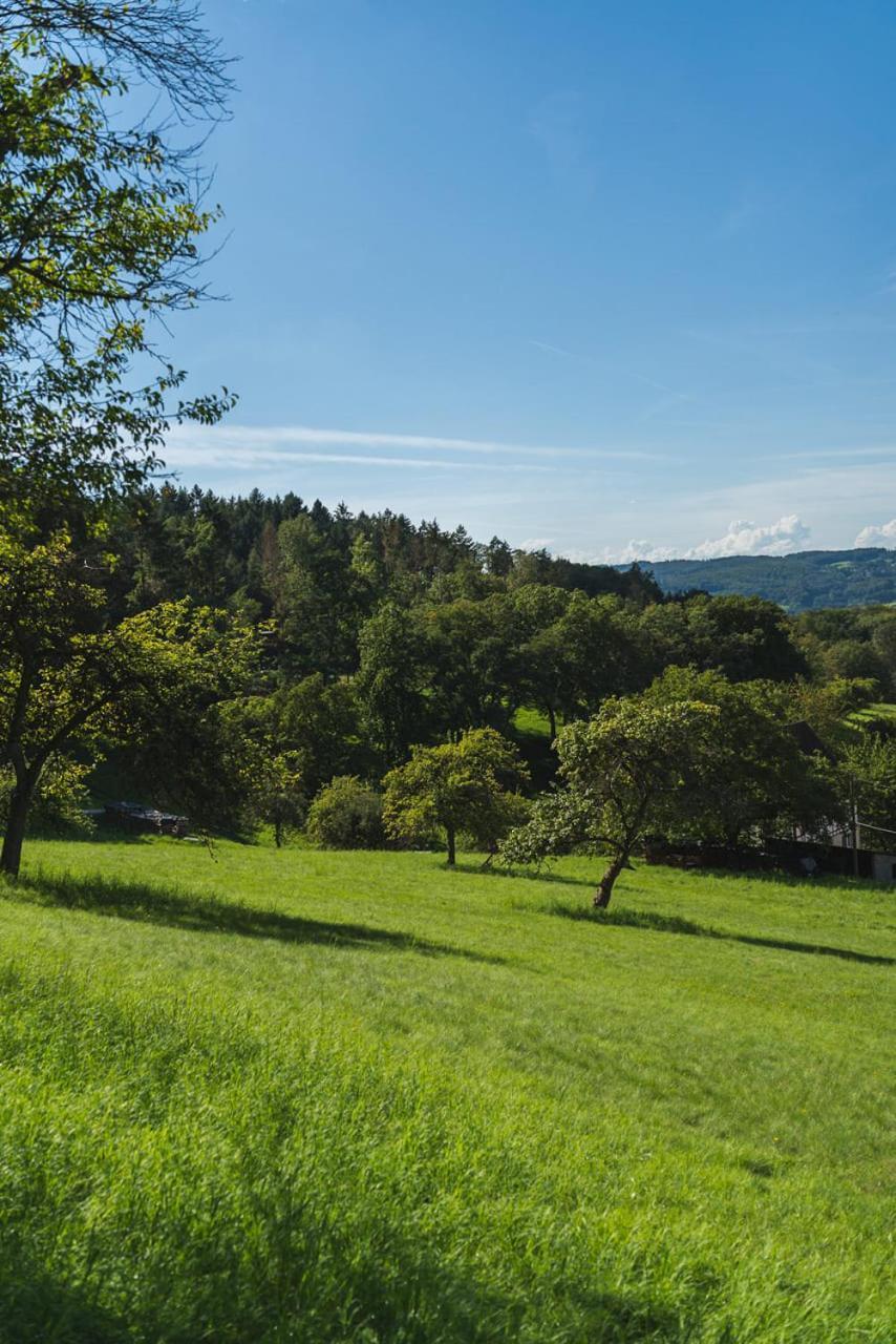 Gruenewaldhof In Rimbach Im Odenwald Apartment Exterior photo